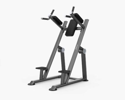Vertical Knee Raise and Dip Stand