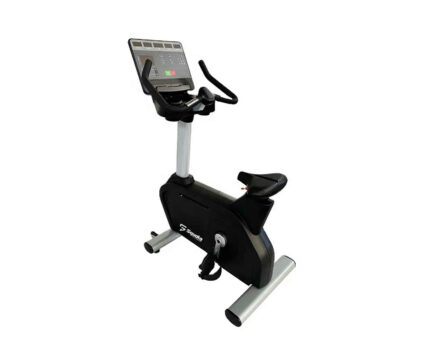 Commercial Upright Bike