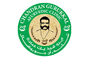 CADD Emirates Logo